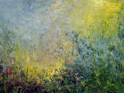 Shona Harcus | Summer Sun